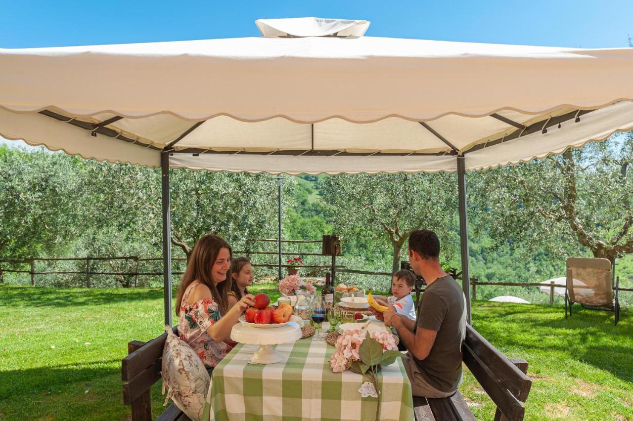 Agriturismo Le Dolci Colline Valfabbrica Bilik gambar